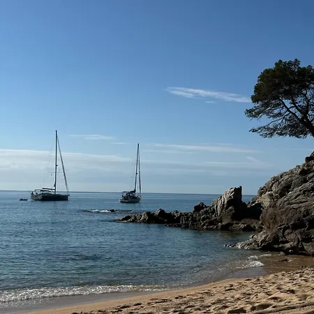 Acapulco 료렛 드 마르