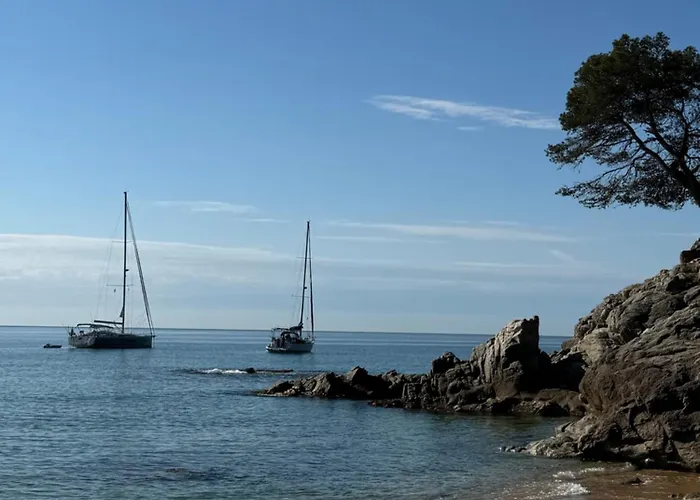 Acapulco 료렛 드 마르