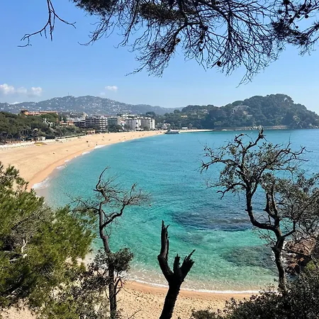 Acapulco * Lloret de Mar