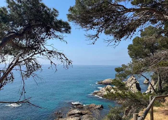 Acapulco Apartamento